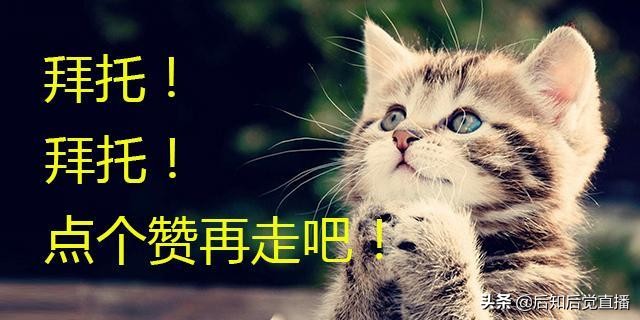 豆二期货是对标的美国大豆期货吗？-RB螺纹钢期货交易网