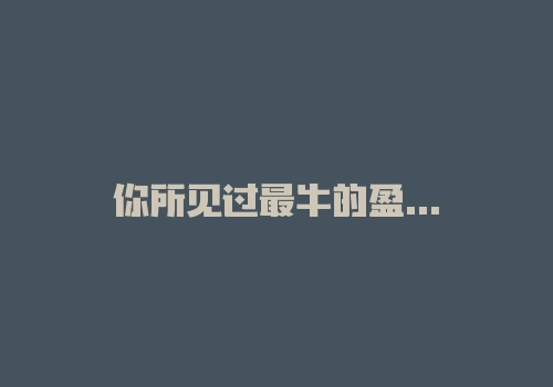 你所见过最牛的盈利系统有哪些？-RB螺纹钢期货交易网