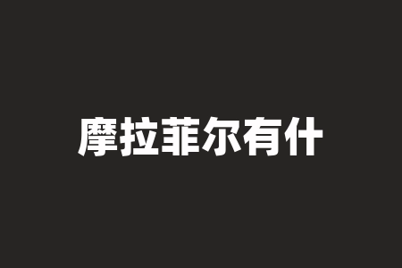 摩拉菲尔有什么好处？摩拉菲尔和纯甄哪个好-RB螺纹钢期货交易网