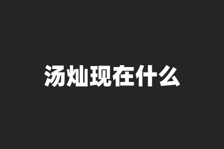 汤灿现在什么情况？为什么汤灿昨天被执行死刑-RB螺纹钢期货交易网