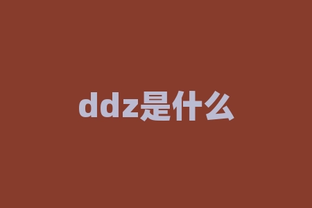 ddz是什么意思？dhs是什么货币？