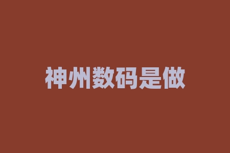 神州数码是做什么的？票款对付是什么意思？-RB螺纹钢期货交易网