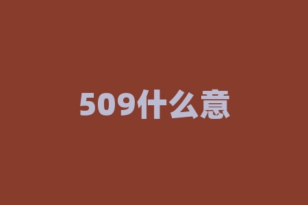 509什么意思？509暗示了什么令人意外的含义？