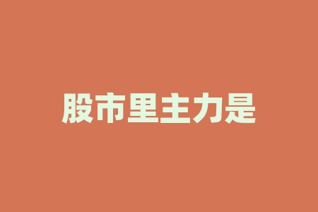 股市里主力是什么意思?股所级是什么级别?-RB螺纹钢期货交易网