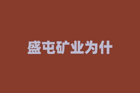 盛屯矿业为什么不涨？相提并论的论是什么意思？-RB螺纹钢期货交易网
