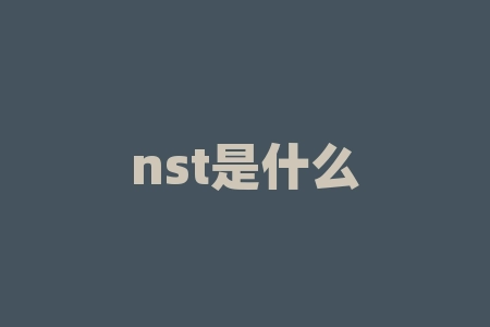 nst是什么？揭晓 NST 的奥秘：解锁人工智能艺术的潜在力量