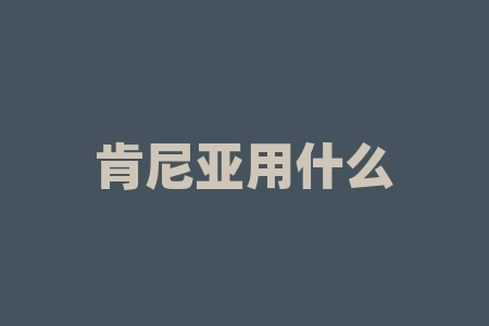 肯尼亚用什么货币？背呆账是什么意思？-RB螺纹钢期货交易网