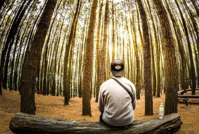 说1点助你突破交易中最难的等待！找到属于自己的入场时机！-RB螺纹钢期货交易网