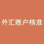 外汇账户核准？专用账户哪些是核准类？-RB螺纹钢期货交易网