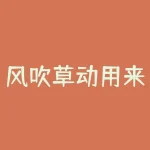 风吹草动用来形容什么？风声鹤唳下一句是什么？-RB螺纹钢期货交易网
