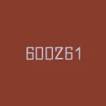 600261资金流向：揭秘机构资金的动向及买入卖出情况-RB螺纹钢期货交易网