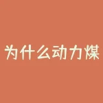 为什么动力煤期货没有仓单？与中国大宗商品期货市场的发展相关吗？-RB螺纹钢期货交易网