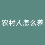 农村人怎么养狗狗？农民怎么用期货对冲？-RB螺纹钢期货交易网