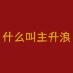 什么叫主升浪-RB螺纹钢期货交易网
