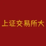 上证交易所大宗交易：机构投资者的独特选择-RB螺纹钢期货交易网