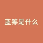 蓝筹是什么？揭秘蓝筹股：价值投资者的秘密武器-RB螺纹钢期货交易网