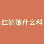 红姑娘什么科？红枣期货参考什么？-RB螺纹钢期货交易网