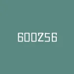 600256资金流向：机构资金加速买入，股价或迎来反弹-RB螺纹钢期货交易网