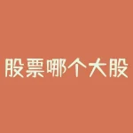 股票哪个大股东实力最强 最牛散户 股东-RB螺纹钢期货交易网