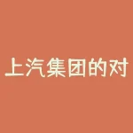 上汽集团的对标股票有哪些  申能股份有限公司的公司现状-RB螺纹钢期货交易网
