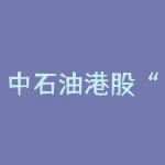 中石油港股“千亿俱乐部”成员，未来发展前景如何？-RB螺纹钢期货交易网