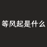 等风起是什么意思？等风起的时候，人们在等待什么？-RB螺纹钢期货交易网
