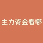 主力资金看哪个指标(股票中主力持仓量的指标是什么)-RB螺纹钢期货交易网