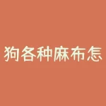 狗各种麻布怎么钩？玉米加工厂怎么管理？-RB螺纹钢期货交易网