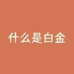 什么是白金？什么是白马股和蓝筹股？-RB螺纹钢期货交易网