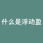 什么是浮动盈亏（浮动盈亏包括手续费吗）-RB螺纹钢期货交易网