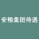 安粮集团待遇优厚，如何吸引和留住优秀人才？-RB螺纹钢期货交易网