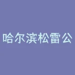 哈尔滨松雷公司股票什么时候上市-RB螺纹钢期货交易网