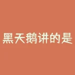 黑天鹅讲的是什么？黑天鹅事件到底预示着什么？-RB螺纹钢期货交易网