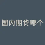 国内期货哪个平台手续费低？哪家期货公司手续费低口碑好？-RB螺纹钢期货交易网