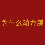 为什么动力煤期货没有仓单？与中国大宗商品期货市场的发展相关吗？-RB螺纹钢期货交易网