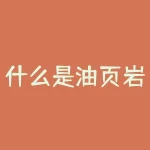 什么是油页岩？什么是油页岩，这种神秘的岩石如何改变我们的能源格局？-RB螺纹钢期货交易网
