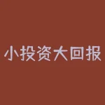 小投资大回报，投资者损失惨重：