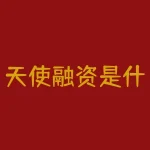 天使融资是什么意思？揭秘天使融资！你不可不知的种子资金？-RB螺纹钢期货交易网