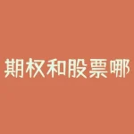期权和股票哪个赚钱?为了回答这个问题,让我们先来了解一下期权和股票的基本概念以及它们各自的优缺点。-RB螺纹钢期货交易网