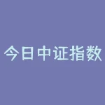今日中证指数500大涨，市场再现春天？-RB螺纹钢期货交易网