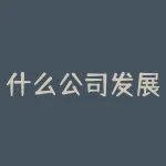 什么公司发展战略？什么公司发展战略能破局而出，赢在当下和未来？-RB螺纹钢期货交易网