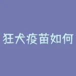 狂犬疫苗如何保护人类健康？-RB螺纹钢期货交易网