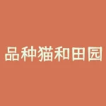 品种猫和田园猫能生出什么？如何选择适合自己的宠物猫？-RB螺纹钢期货交易网