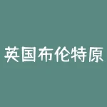英国布伦特原油价格为何影响全球能源市场？-RB螺纹钢期货交易网