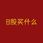 B股买什么？炒A股亏钱了，在B股市场能翻身吗？-RB螺纹钢期货交易网
