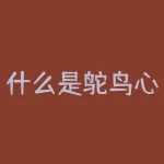什么是鸵鸟心态(鸵鸟心态启示解析)-RB螺纹钢期货交易网