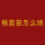 板票苗怎么培育？怎么种板栗树才能种出大苗--RB螺纹钢期货交易网