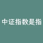 中证指数是指什么？中证指数揭秘！它是股市的风向标，还是数字游戏？-RB螺纹钢期货交易网
