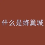 什么是蜂巢城市？蜂巢通常在什么地方-RB螺纹钢期货交易网