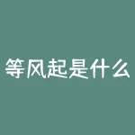 等风起是什么意思？等风起的时候，人们在等待什么？-RB螺纹钢期货交易网
